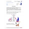 Fördermappe 7: Groß- und Kleinschreibung