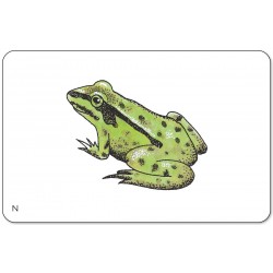 Lesekarten Tiere