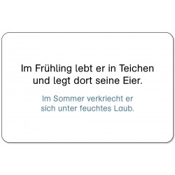 Lesekarten Tiere